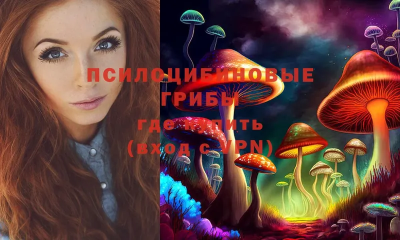 Псилоцибиновые грибы Magic Shrooms  Бавлы 